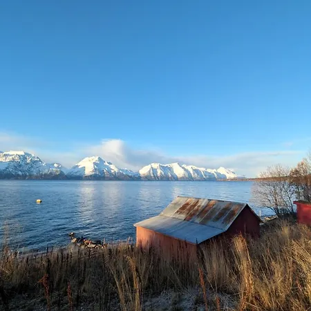 Lyngenfjord