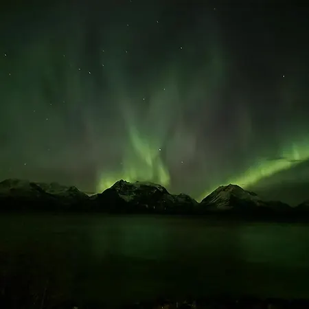 Lyngenfjord * Olderdalen