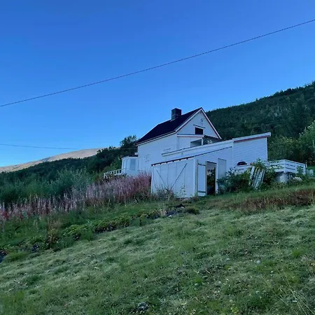 Lyngenfjord *