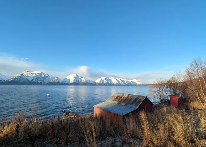 Lyngenfjord