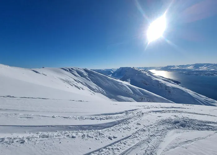 Lyngenfjord Tatil Evi