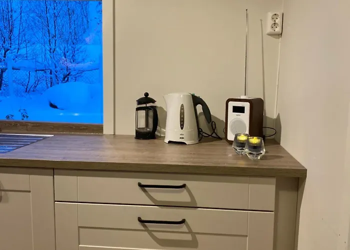 Lyngenfjord Tatil Evi Olderdalen